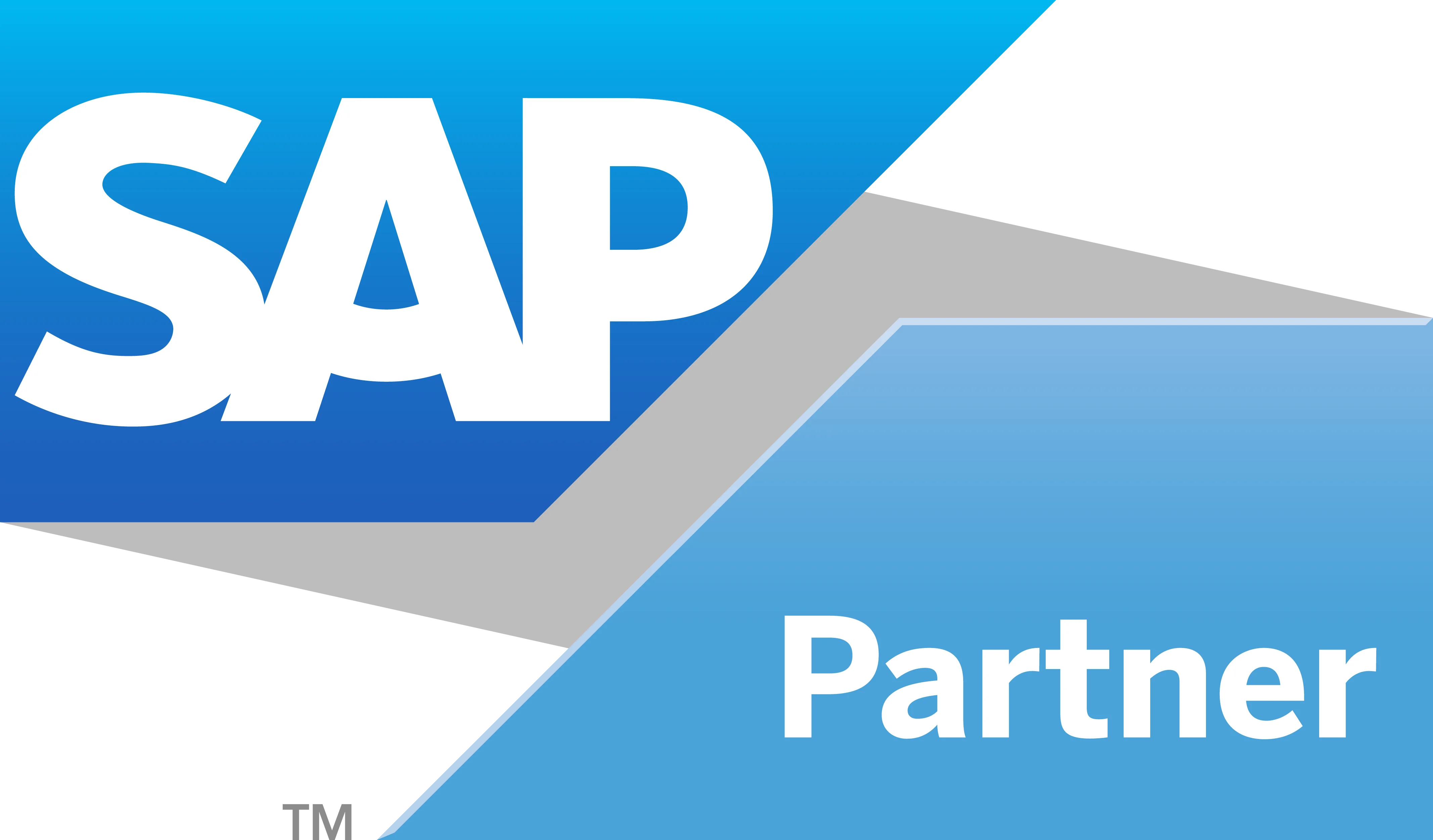 SAP Partner